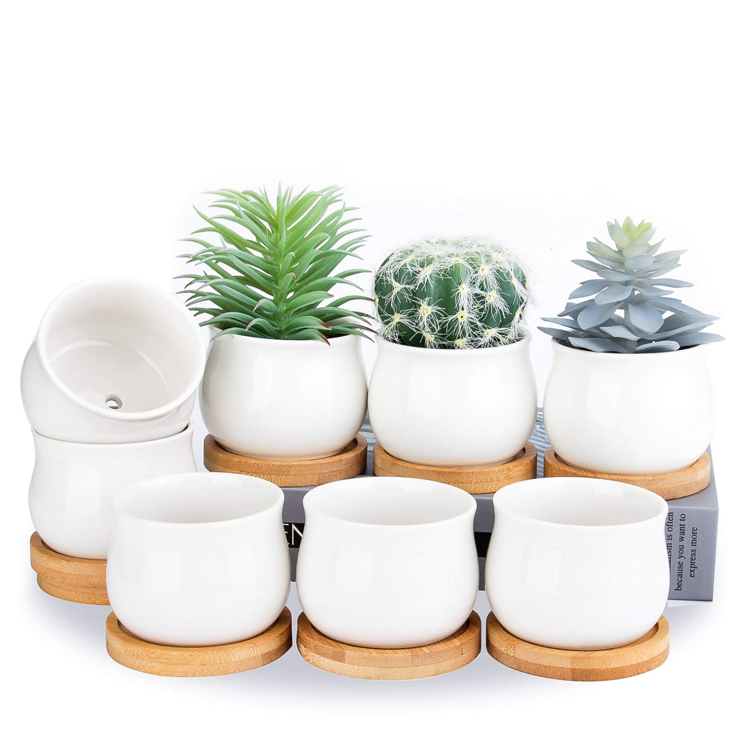 Shecipin Succulent Plant Pot, White Mini 2.6 Inch Ceramic Flower Planter Pot With Bamboo Tray, Pack Of 8 - Plants Not Included