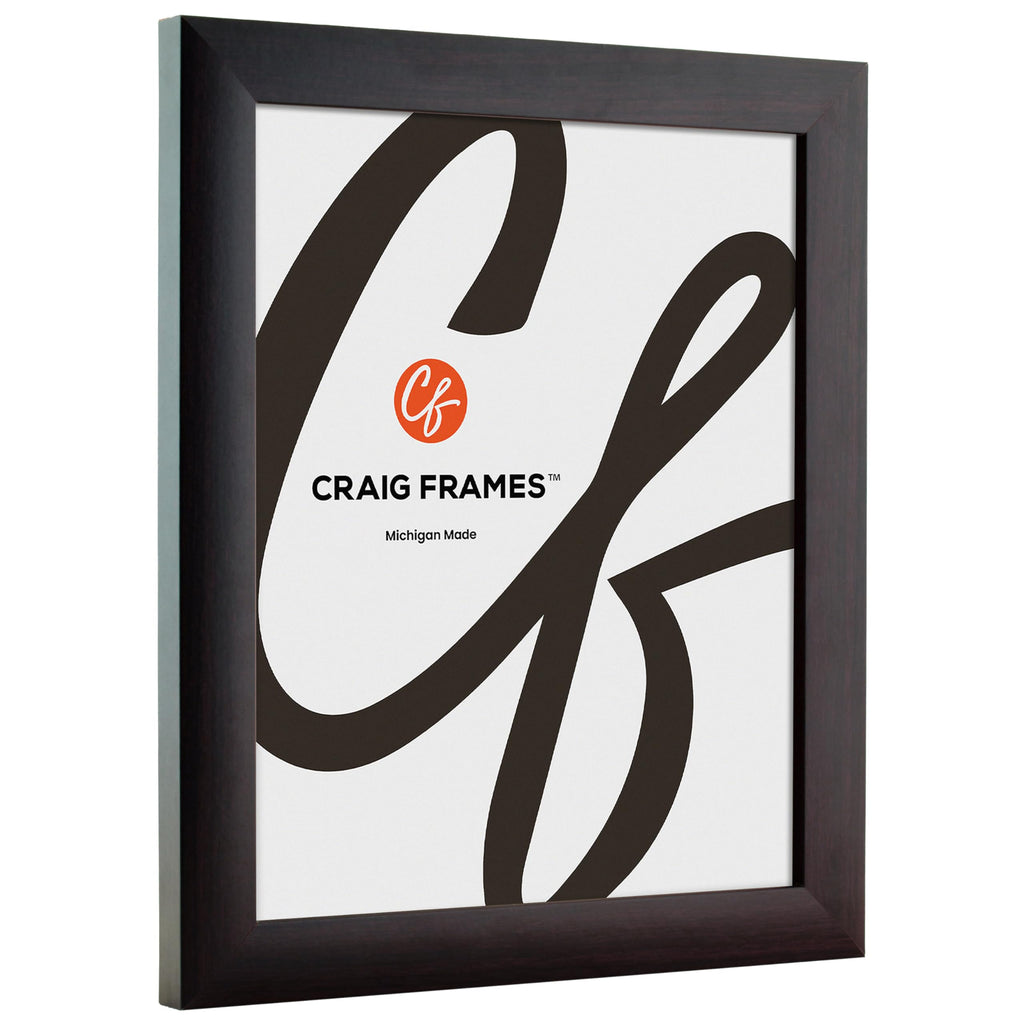 Craig Frames Contemporary, 28X29 Picture Frame, Brazilian Walnut