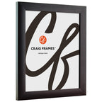 Craig Frames Contemporary, 26X38 Picture Frame, Brazilian Walnut