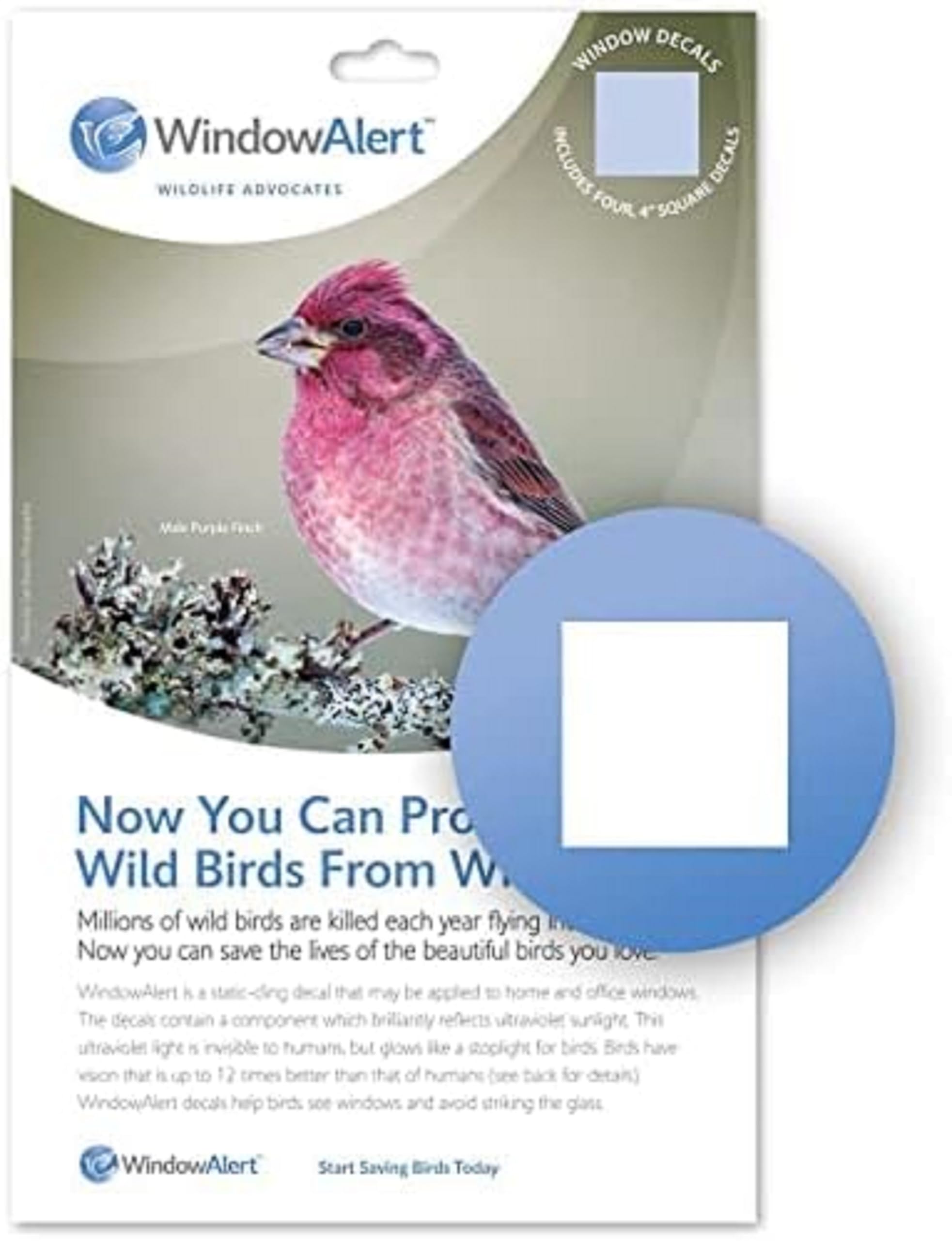WindowAlert Classic Square Anti-Collision Decal - UV-Reflective Window Decal to Protect Wild Birds from Glass Collisions - Made 
