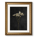 ARPEOTCY Vintage Gold Framed Wall Art, Retro Dark Dried Wildflower Paintings, Canvas Prints Artwork with Antique Frame, Victoria