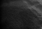 HomeRoots Natural Black Brazilian Cowhide Rug
