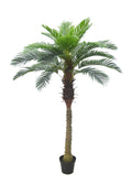 AMERIQUE Gorgeous 6 Phoenix Palm Tree Artificial Silk Plant with UV Protection, with Nursery Plastic Pot, Feel Real Technology,