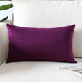 Artscope Luxury Velvet Pillow Covers Super Soft Decorative Rectangle Throw Pillow Covers Case Cushion Covers For Sofa Couch Bedroom Car Decor 16X24 Inch Eggplant Purple