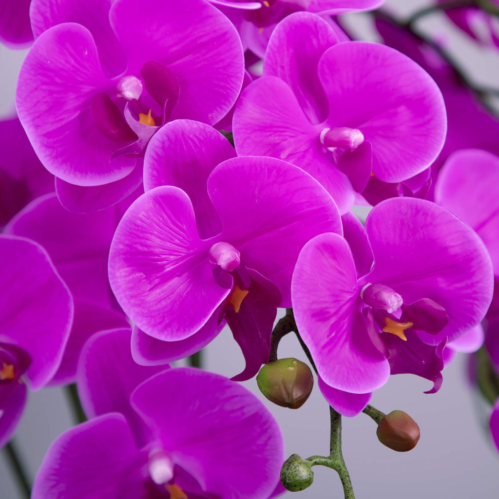Fnize Artificial Orchid Stems Real Touch Latex Phalaenopsis Branches Faux Cymbidium Flowers 9 Large Petals 38 Inches 2Pcs (Rose