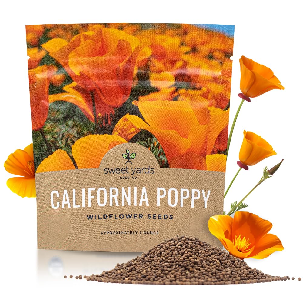 California Orange Poppy Wildflower Seeds - Bulk 1 Ounce Packet - Over 20,000 Native Seeds - California State Flower!