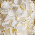 Dried Real White Rose Petals, Freeze Preserved Flower Petals 1.75oz for Valentine's Day Gifts Wedding Party Decor, Flower Girl, 
