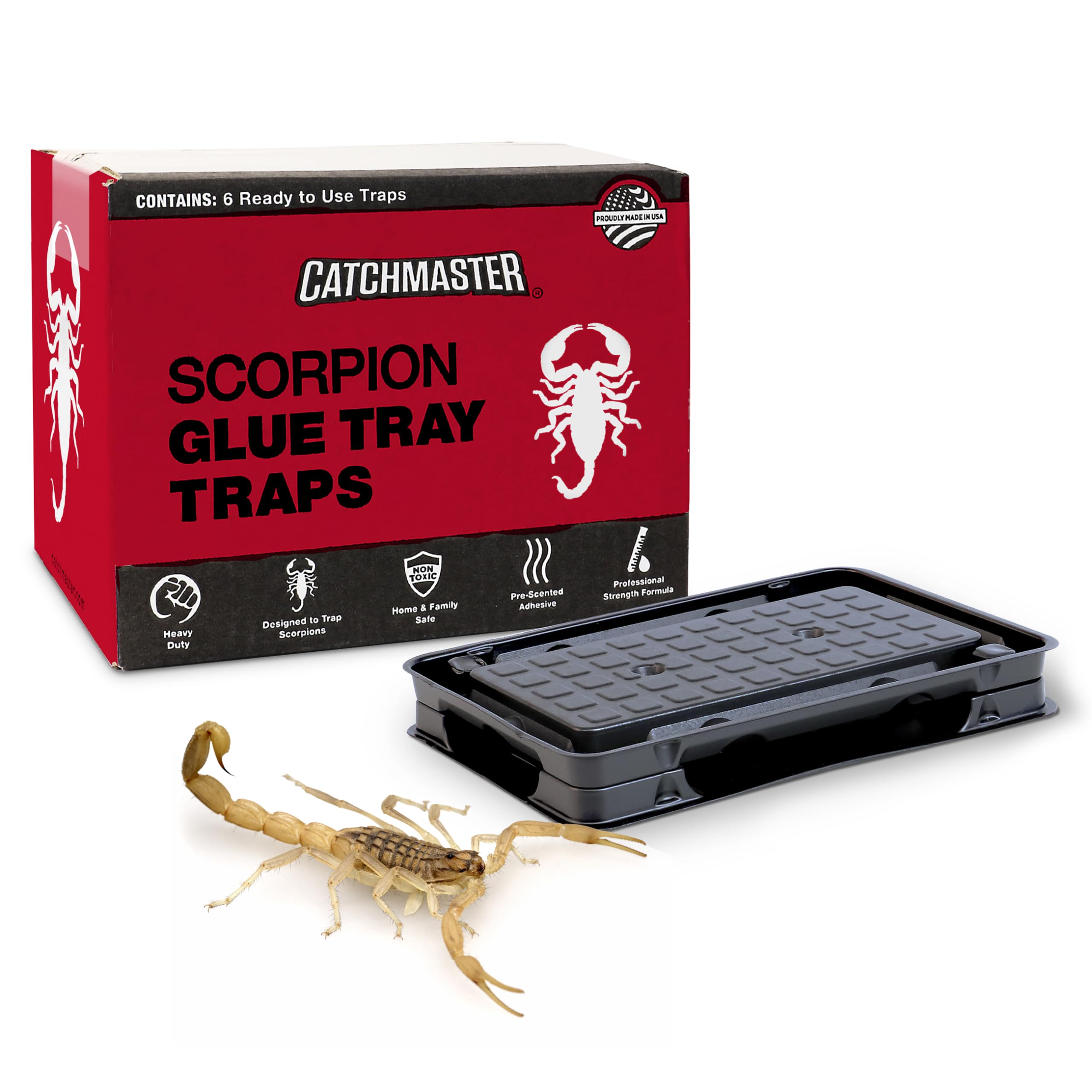 Catchmaster Scorpion Glue Tray Traps 6-Pack, Adhesive Scorpion Killer For Home, Simple Insect Traps Indoor, Sticky Bug Catcher F