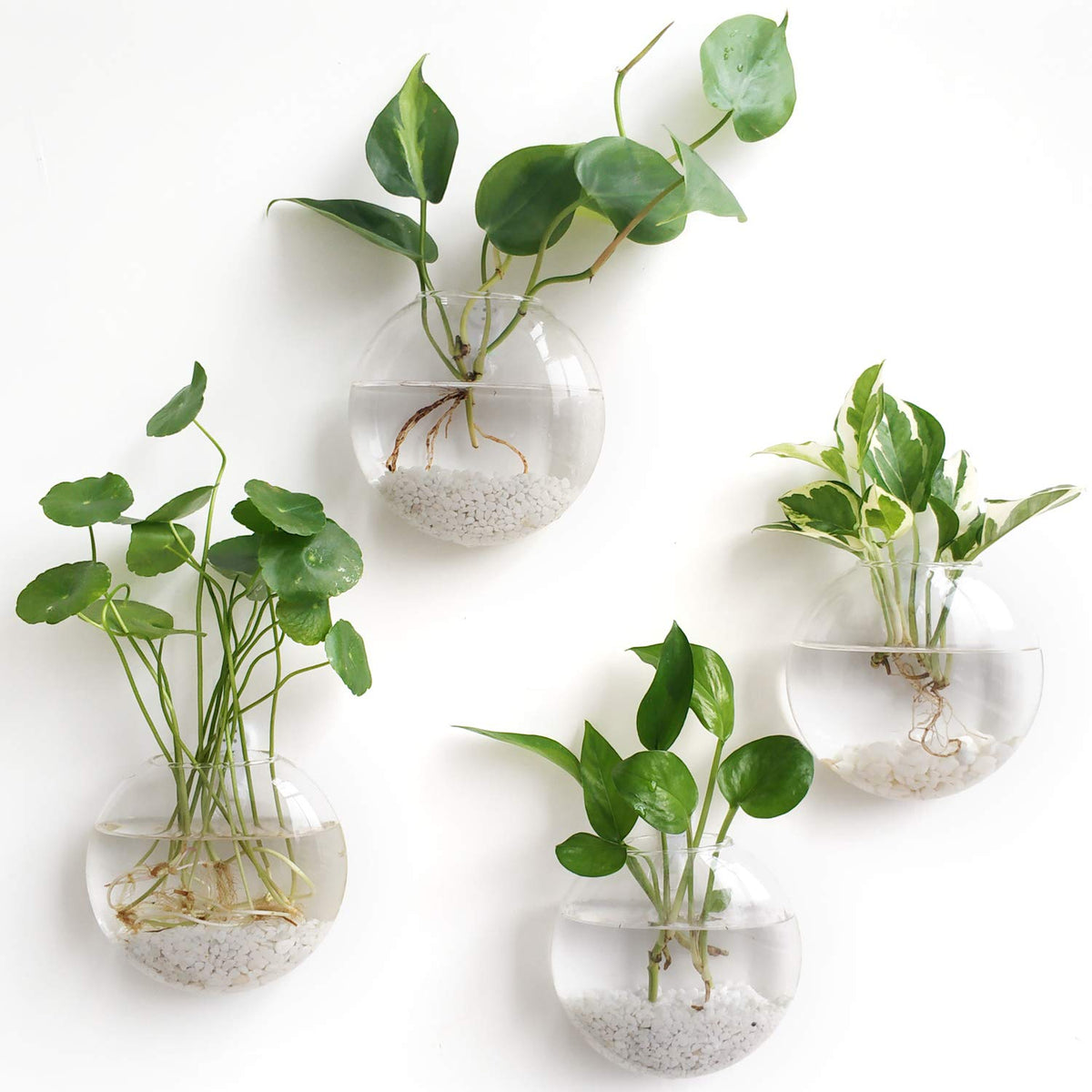Mkono Wall Hanging Glass Terrariums Planter Oblate Flower Vase For Hydroponics Plants, Home Office Living Room Decor, Set Of 4