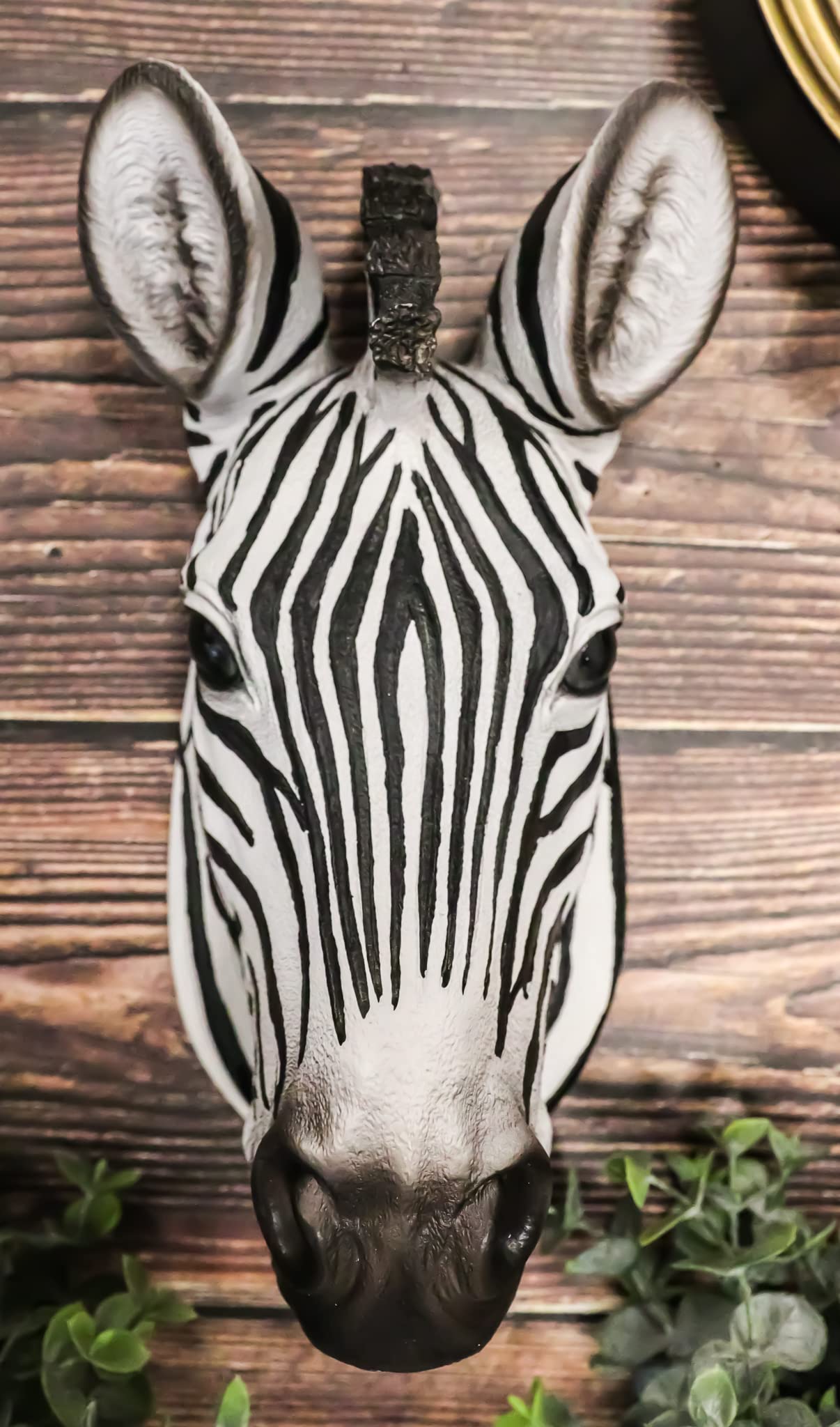 Ebros Madagascar Safari Zebra Horse Bust Wall Decor Savanna Grassland Wildlife Wall Mount Sculpture Plaque 9.5'' Tall