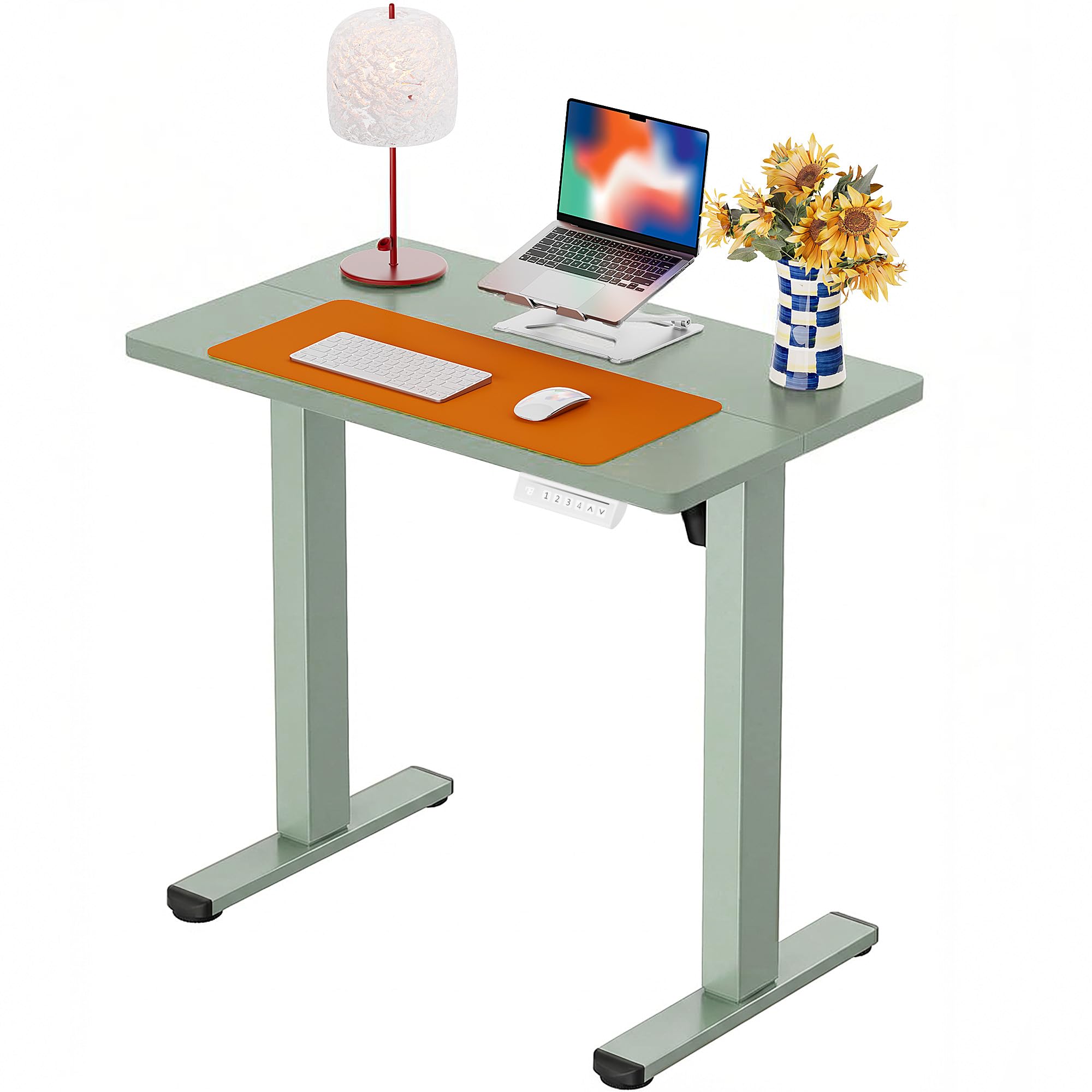 ErGear Height Adjustable Electric Standing Desk, 32 x 19 Inches Sit Stand up Desk, Memory Computer Home Office Desk,Green