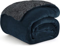 Homestan Sherpa Fleece AC Blanket for Winter, Double 88x90 inch