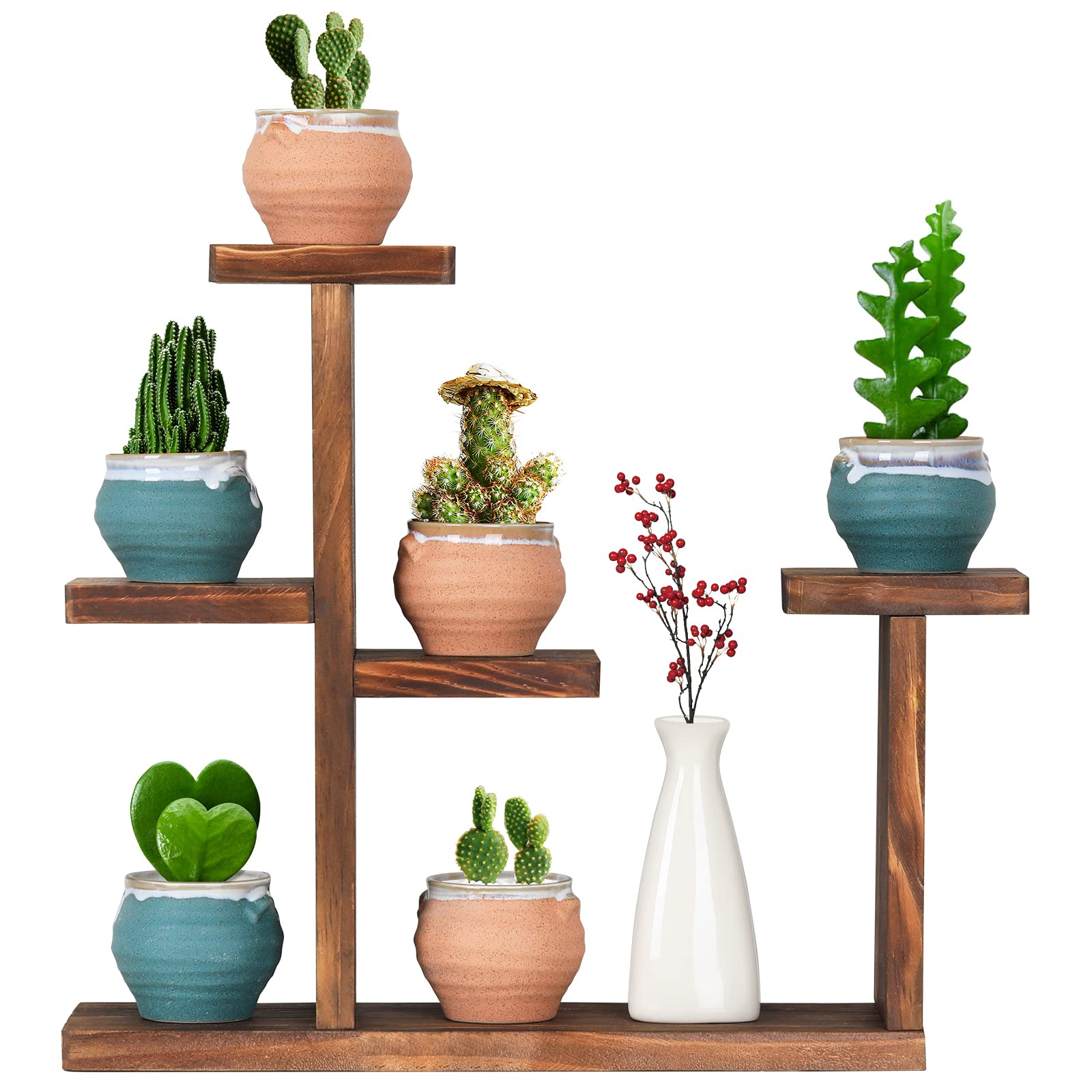 Coogou Wooden Tabletop Plant Stand - 5 Tier Succulent Plant Holder Decorative Planter Holder, Small Desktop Flower Pot Rack Shel