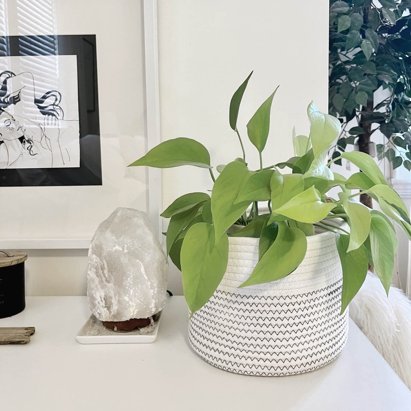 Indressme Small Rope Basket Round Woven Storage Basket Cute Dog Toy Basket Cotton Basket Baby Nursery Hamper Shelf Decorative Bi