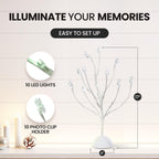 MEIN SCHATZ Money Tree Gift Card Holder with 10 Clips & LED Lighted Tips - White Plastic