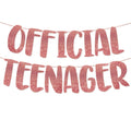 Itsyyboo Official Teenager Rose Gold Glitter Banner  13Th Birthday Party Supplies, Ideas, Gifts And Decorations Pre  Strung No