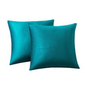 Rainroad Dark Teal Throw Pillows Covers Set Of 2 Soft Velvet Decorative Pillow Covers 20X20 Inch For Couch Bed (Dark Teal, 20''