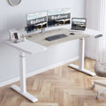 Radlove Dual Motor Height Adjustable Standing Desk, 63 x 30 Height Adjustable Computer Desk Sit Stand Desk Home Office Desks wit