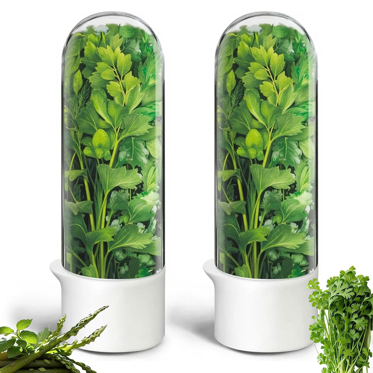 Rkssws Herb Saver, Herb Keeper for Refrigerator, Cilantro Container for Fridge, Fresh Herbs Lettuce Vegetable Preservation Bottl