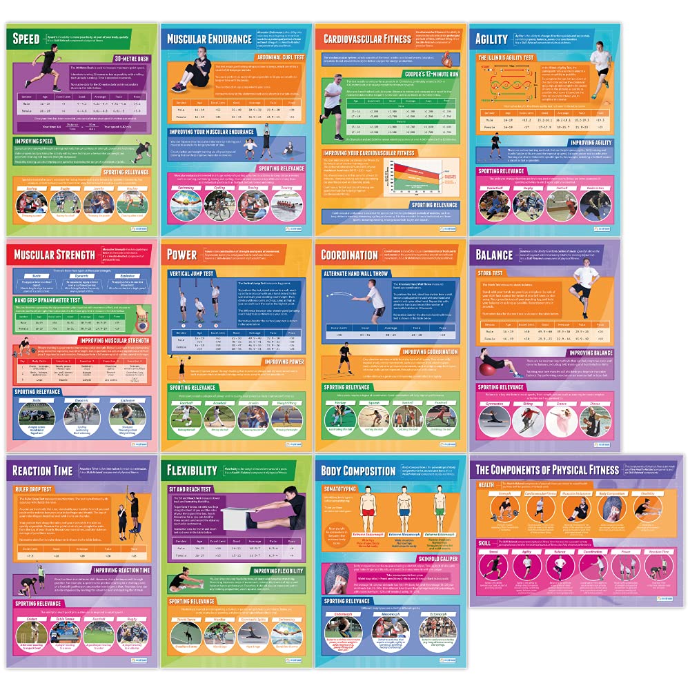 Daydream Education Components Of Physical Fitness Posters - Set Of 12 | Pe Posters | Gloss Paper Measuring 33    X 23.5    | Phy
