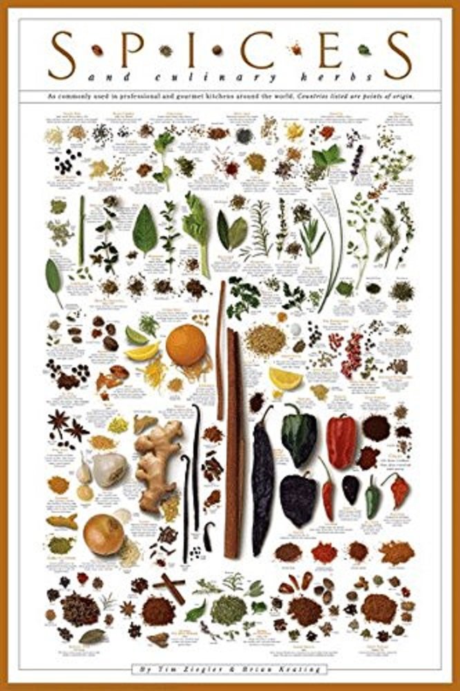 Picture Peddler Laminated Spice Poster Print Culinary Herbs 24x36