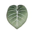 Philodendron Gloriosum Moody Green Leaf Throw Pillow, Decorative, Bed, Flower, Succulent Pillow Great For Plant Lovers, Green Th