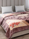 Monte Carlo Double Bed Winter Blanket Regal 1 Ply Box Pack 500 GSM | 2.5 KG | 2.5 KG (230x210 CM), Chocolate Brown
