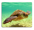 Pingpi Mouse Pad Lord Howe Island Sea Turtle Custom Design, 9.5 X 7.9 Inch (240Mmx200Mmx3Mm)