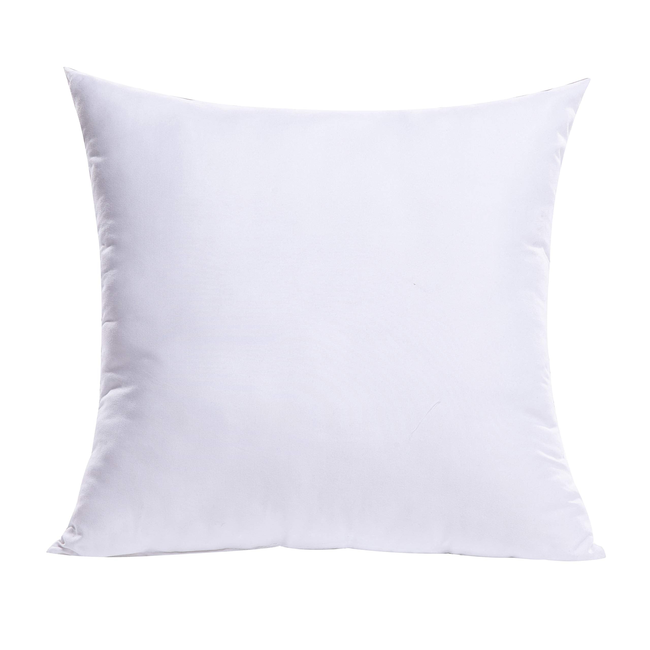 Miulee Throw Pillow Insert Premium Pillow Stuffer Sham Square Form For Decorative Cushion Bed Couch Sofa 27X27 Inch