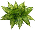 Artificial Agave Fake Plants, Faux Shrubs Grass Bushes Plant Plastic Flowers for Wedding Party Office Indoor Outdoor Room Yard G