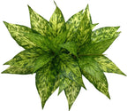 Artificial Agave Fake Plants, Faux Shrubs Grass Bushes Plant Plastic Flowers for Wedding Party Office Indoor Outdoor Room Yard G