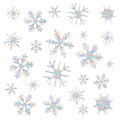 HAPBEAR 36PCS Snowflake Window Decals for Bird Strikes - Anti-Collision Window Decals to Save Birds from Window Collisions,Non A