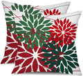 Dfxsz Outdoor Pillow Covers 18X18 Inch Set Of 2 Red Green Flower Decorative Waterproof Summer Outdoor Pillow Covers Valentines P