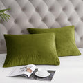 Phf Super Soft Velvet Zippered Body Pillowcase, No Insert, 1 Pack Luxury Cozy Warm Pillow Sham Cover With Zipper, 20'X 54' Lon