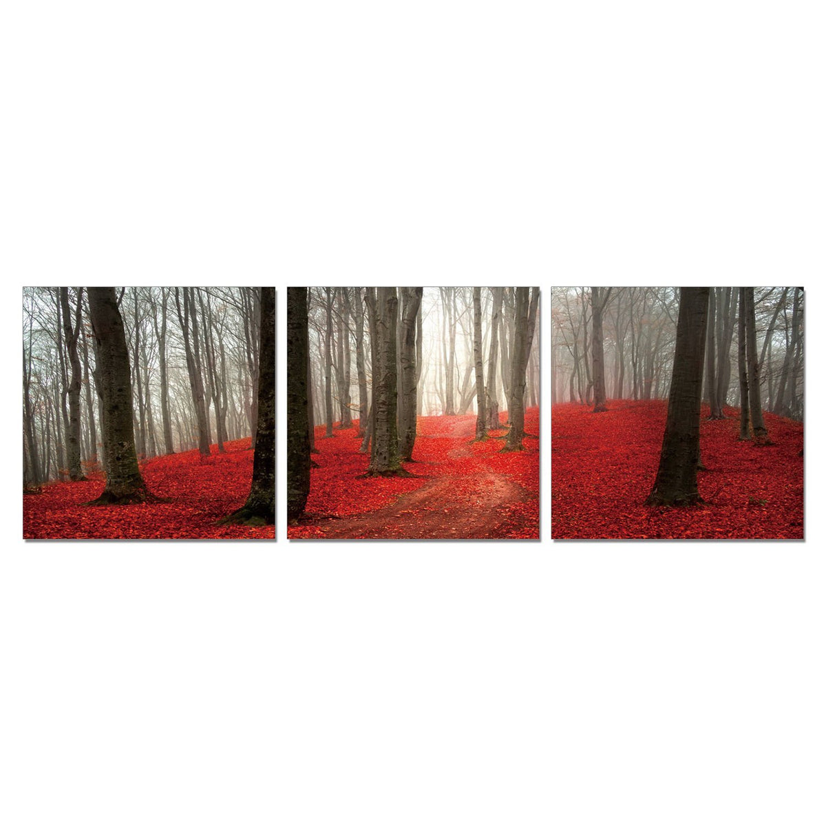 Furinno Senia Wall Mounted Triptych Photography Prints, Dawn Forest, Set Of 3