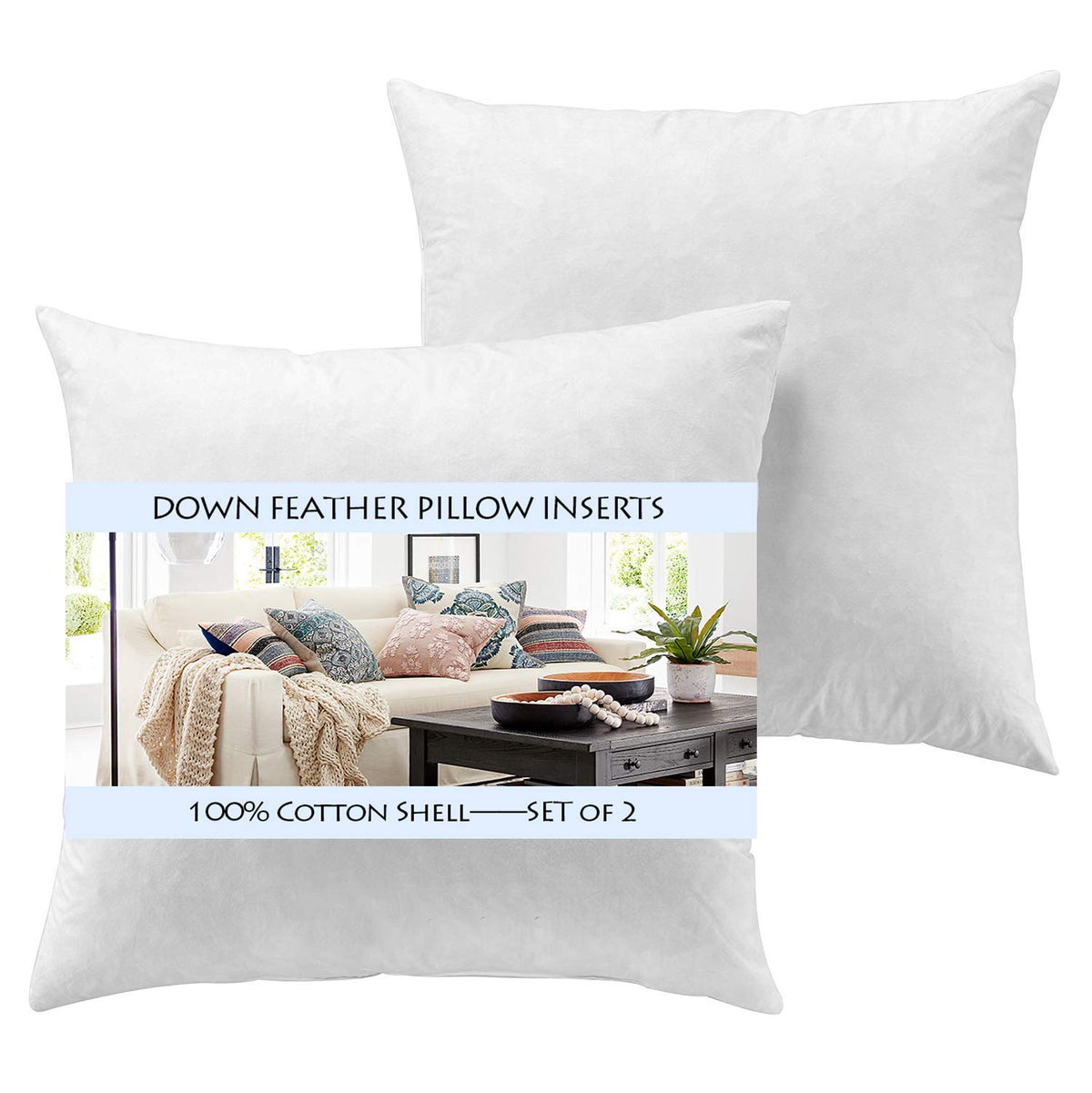 Yesterday Home Set Of 2-20X20 Throw Pillow Inserts-Down Feather Pillow Inserts-White
