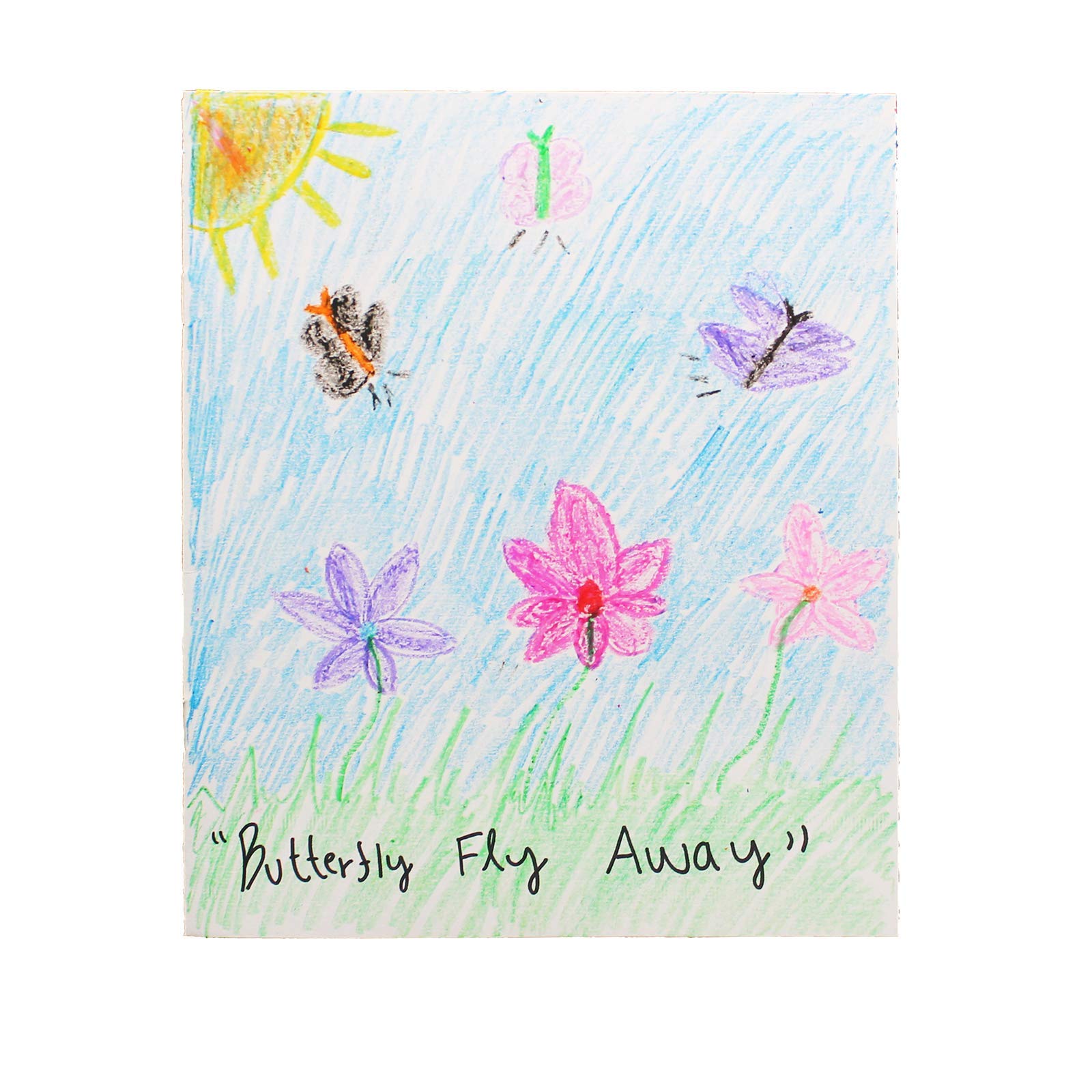 Softcover Thin Blank Book 8.5X11 Portrait, Class Pack 24