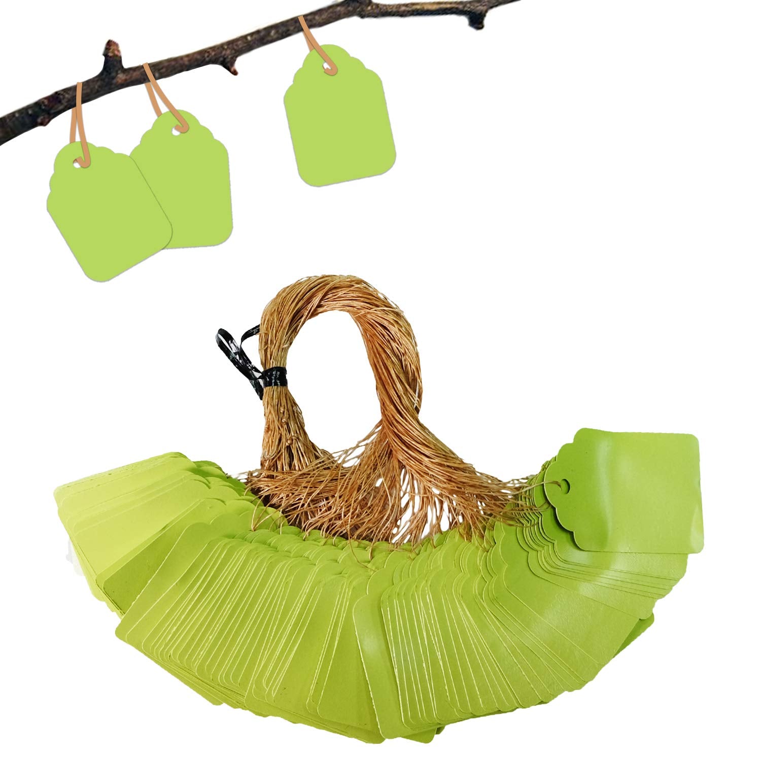 Beadnova Plant Hanging Tags 100Pcs Tags With String Reusable Plant Labels Tags Plant Markers Plastic Garden Signs Garden Markers