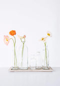 Creative Co-Op Set of 5 Vintage Bottle Vases on Wood Tray