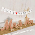 VIOPVERY Mr and Mrs Sign & Just Married Banner,Mr & Mrs Signs for Wedding Table,Large Wooden Letters for Sweetheart Table,Photo 