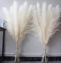 46'' inch 10 Stems White Pampas Grass Decor Tall, Dry Flowers for Floor Vases Decor, Natural Dried Flowers for Wedding, Natural 
