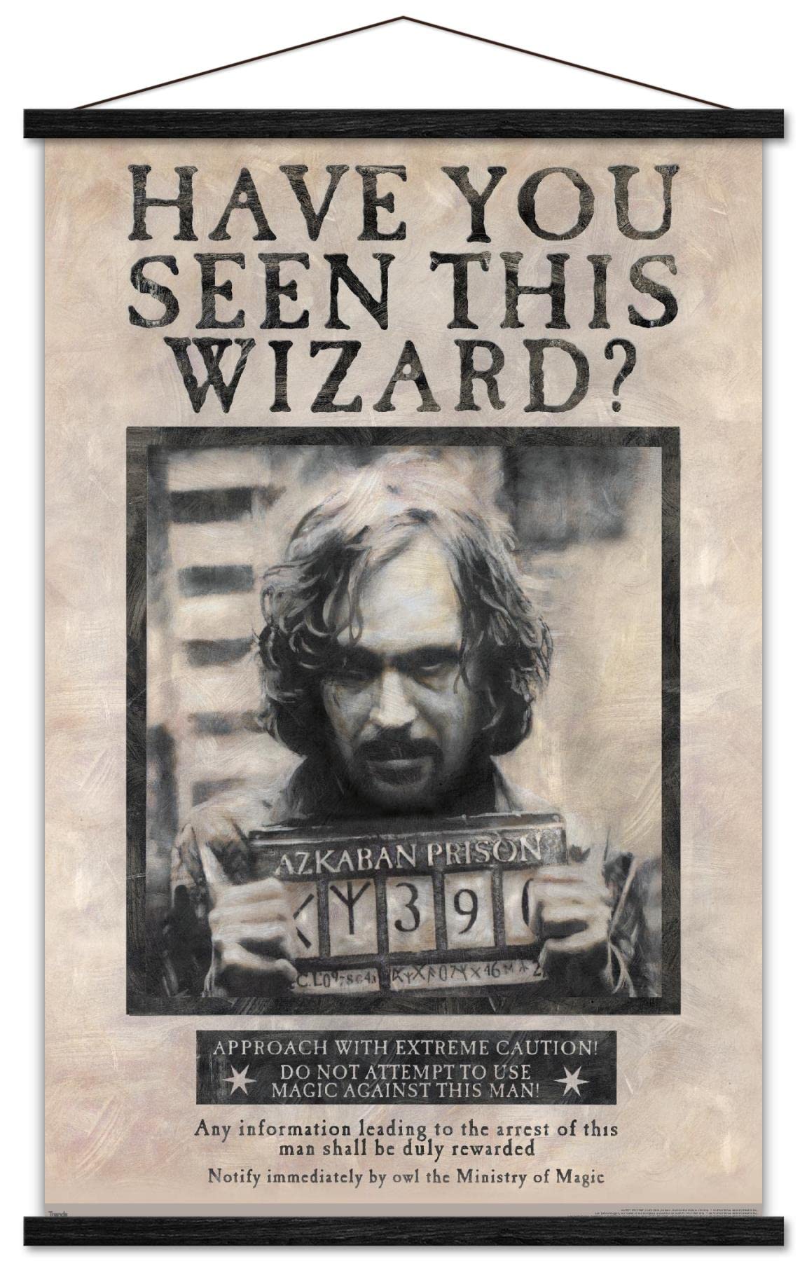 Trends International The Wizarding World: Harry Potter - Sirius Black Wanted Poster Wall Poster, 22.375 x 34, Print and Black Ha