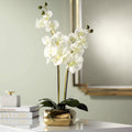 Dahlia Studios Potted Silk Faux Artificial Flowers Realistic White Phalaenopsis Orchid Greenery in Gold Ceramic Pot for Home Dec