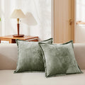 Cocoploceus Luxurious Velvet Throw Pillow Covers 20X20 Set Of 2 Decorative Pillow Covers Solid Square Cushion Case For Sofa Couc