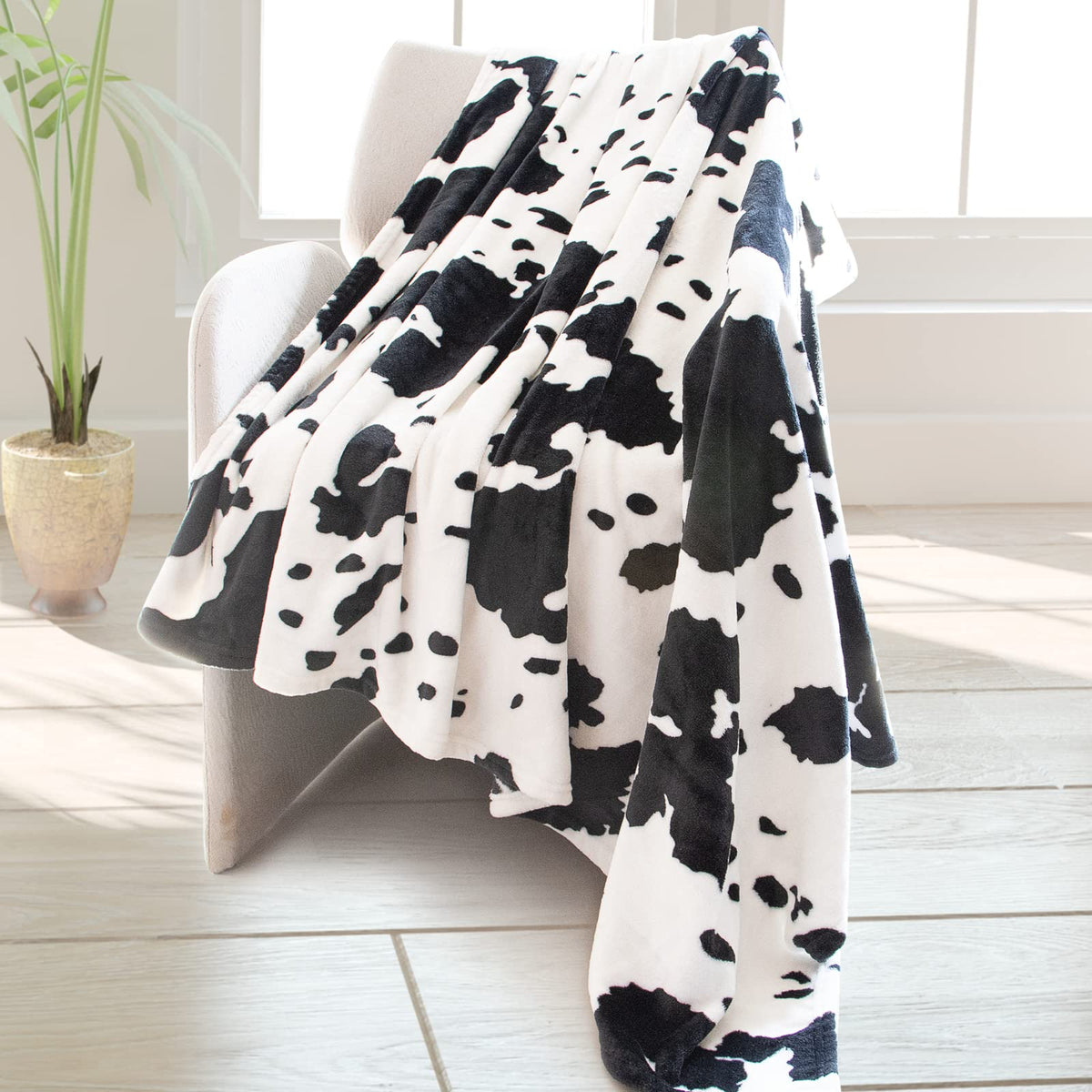 Cow Print Blanket Warm Plush Cute Cow Throw Blanket Soft Fleece Flannel Lightweight Black Cow Blankets Living Rooms Sofa Bedroom