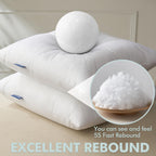 Miulee Set Of 2 Throw Pillow Inserts 20X20 Inches, Nowoven Decorative Pillow Inserts For Living Room