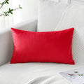 Artscope Luxury Velvet Pillow Covers Decorative Rectangle Pillowcases Soft Solid Cushion Cases For Couch Sofa Bedroom Car Decor