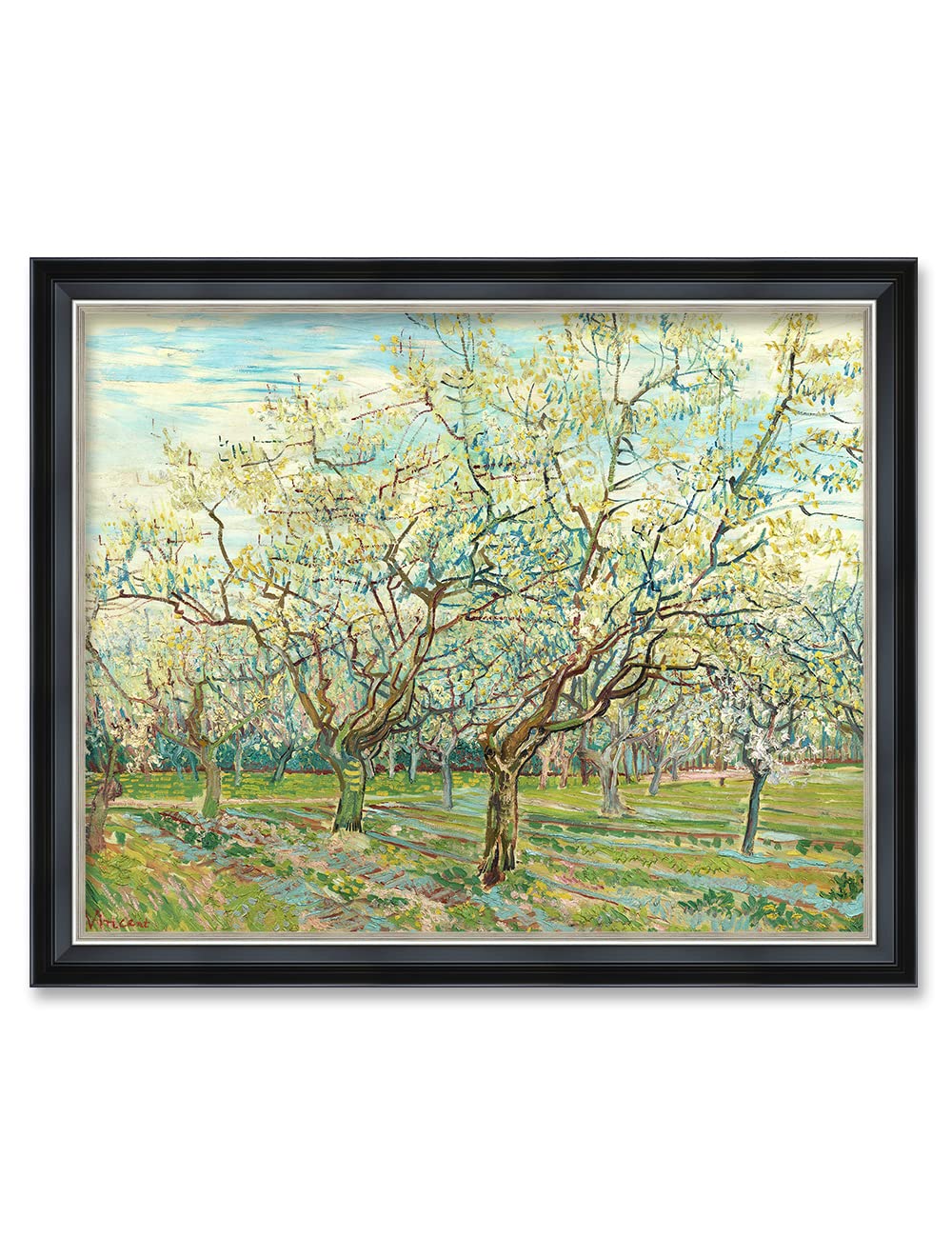 DECORARTS - The White Orchard by Vincent Van Gogh. Giclee Print Art Reproduction with matching Solid Wood Frame in Classical Sty
