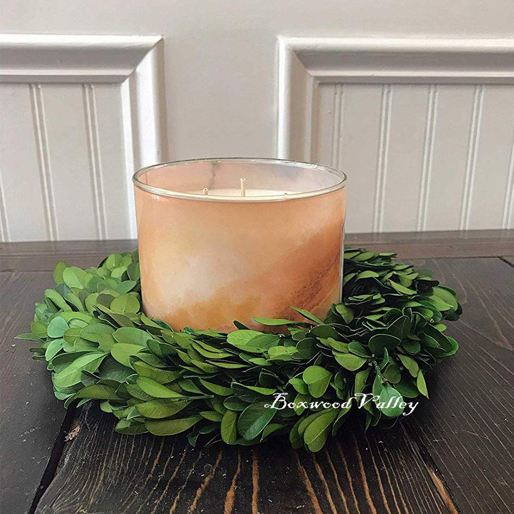 Boxwood Valley Boxwood Wreath Mini 6 Inch Preserved Round Boxwood Wreath, Door Wall Hanging Window Wedding Party Decoration Farm