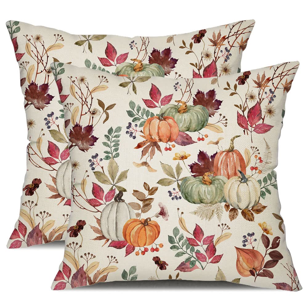 DFXSZ Fall Pillow Covers 18x18 inch Set of 2 Pumpkin Maple Leaf Flower Decorative Throw Pillow Covers Autumn Thanksgiving Farmho
